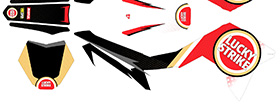 CRF 110 NEW style