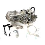 MOTORE COMPLETO YX 160 PIT BIKE MINIGP