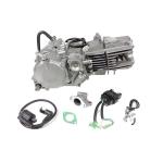 MOTORE DAYTONA ANIMA 190 FSM