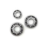 CUSCINETTI MOTORE ZS 110 4S