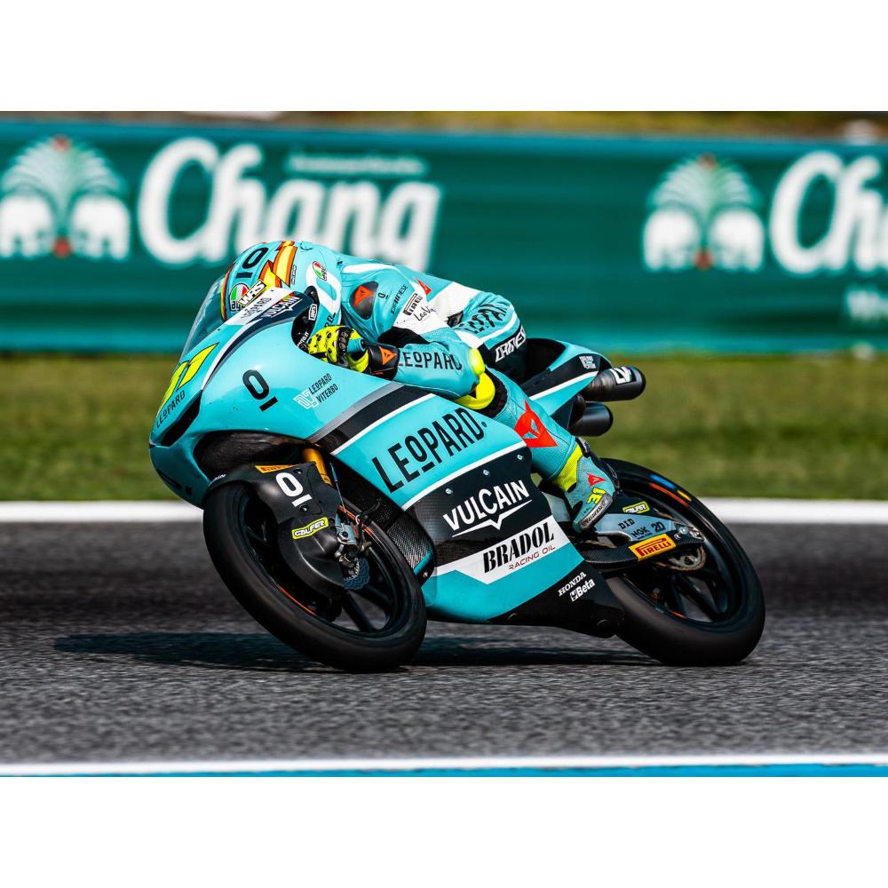 KIT GRAFICHE LEOPARD