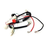 IMPIANTO ELETTRICO COMPLETO PITBIKE ELETRIC START